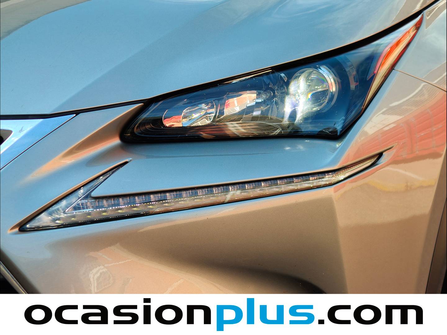 Lexus NX Lexus NX 300h Business 2WD (197 CV) km 0