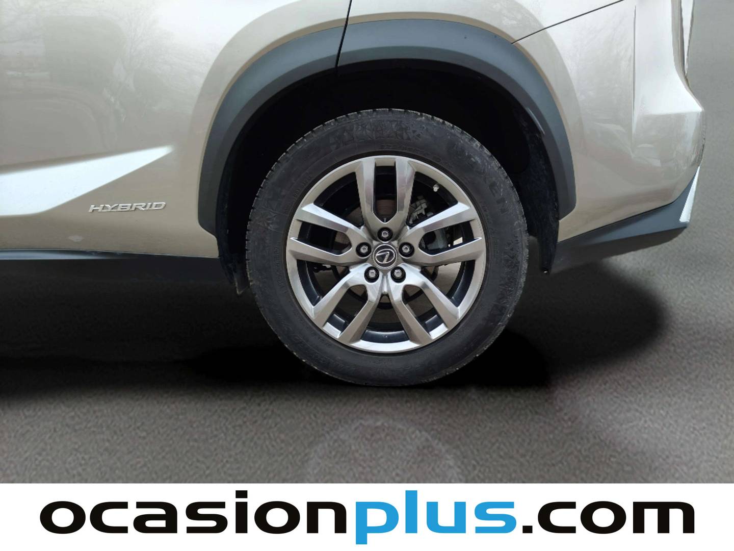 Foto Lexus NX Lexus NX 300h Business Navigation 2WD (197 CV)