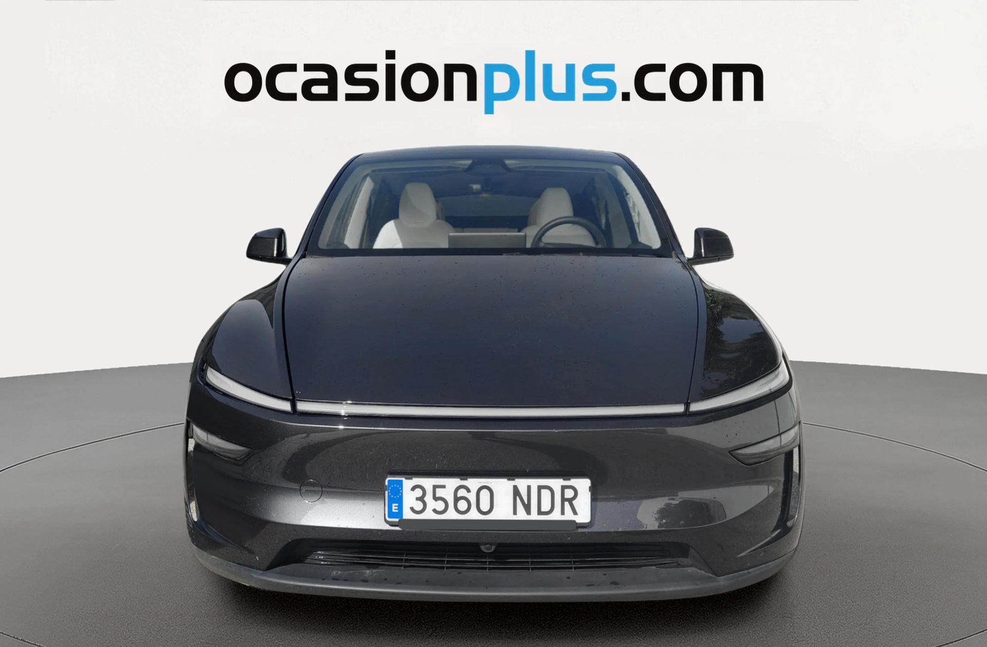 Tesla Model Y Gran Autonomía 4WD - foto 13