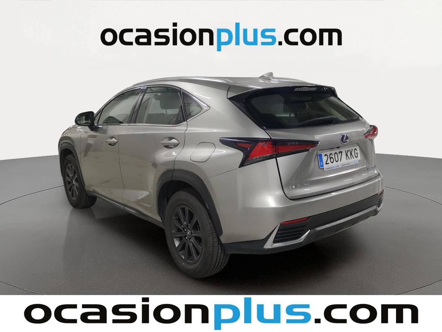 Foto trasera Lexus NX Lexus NX 300h Business 2WD (197 CV) izquierda