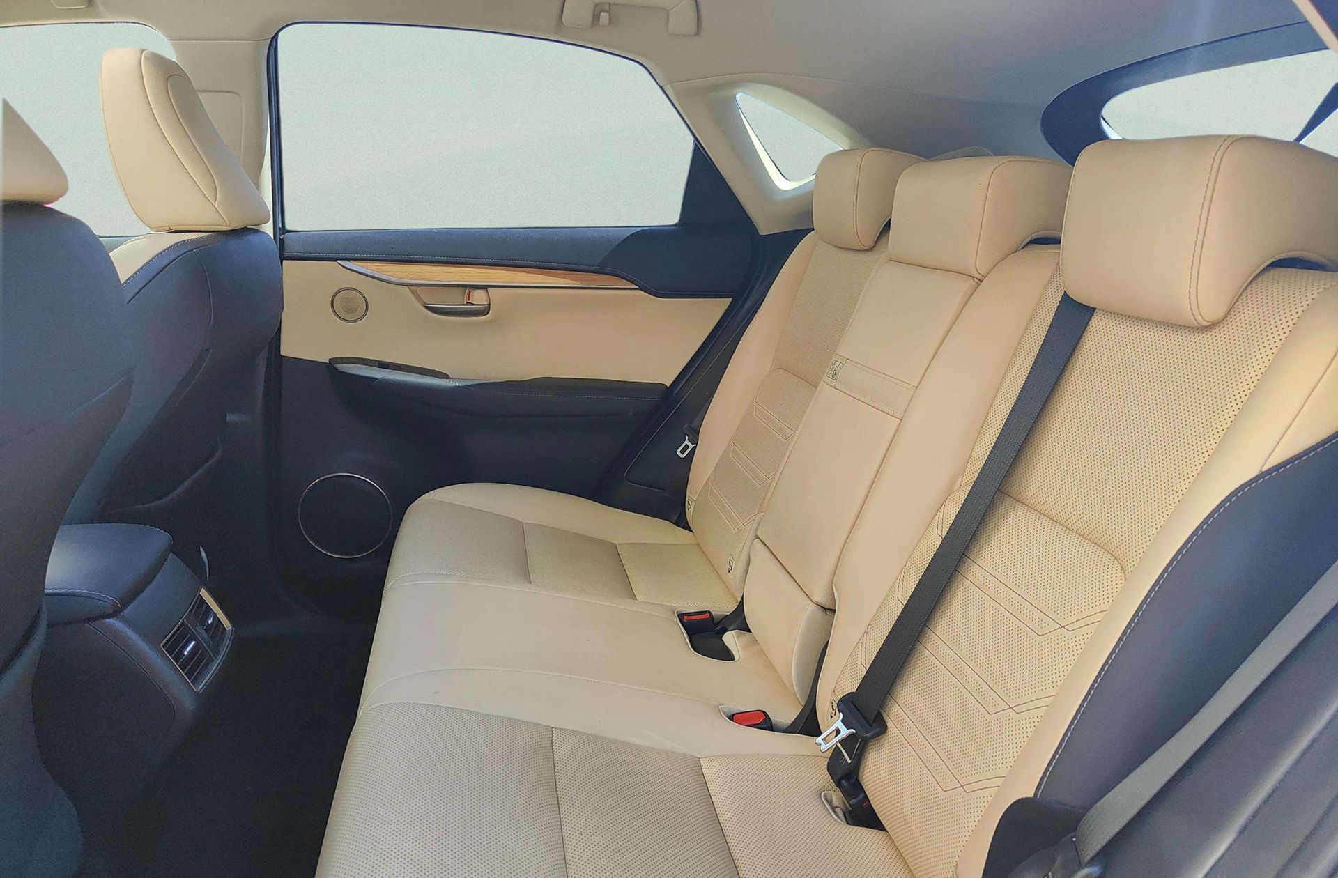 Lexus NX 2.5 300h Luxury 4WD - foto 13