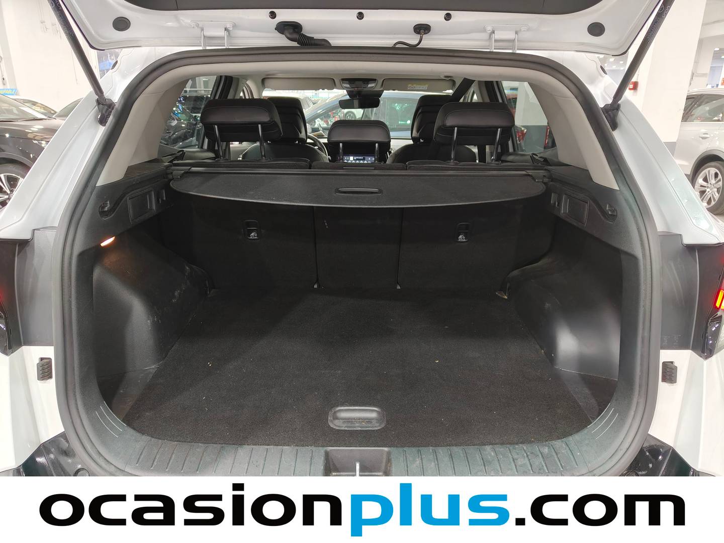 Foto KIA Sportage Kia Sportage 1.6 T-GDi HEV Tech 4x2 Auto (230 CV)