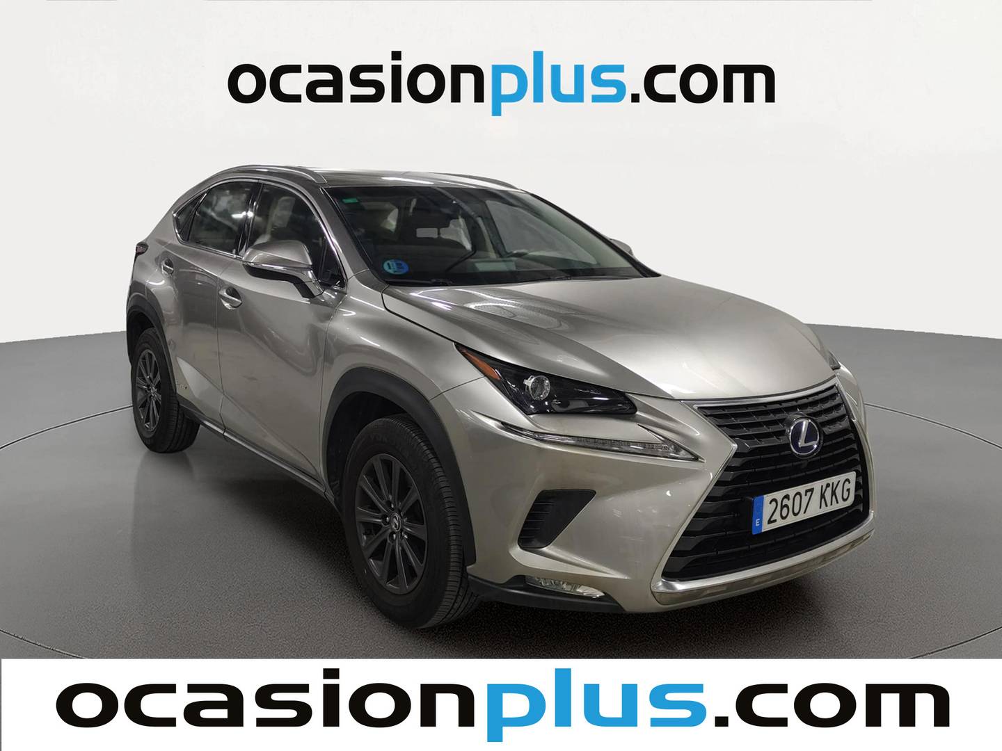 Foto delantera Lexus NX Lexus NX 300h Business 2WD (197 CV) derecha