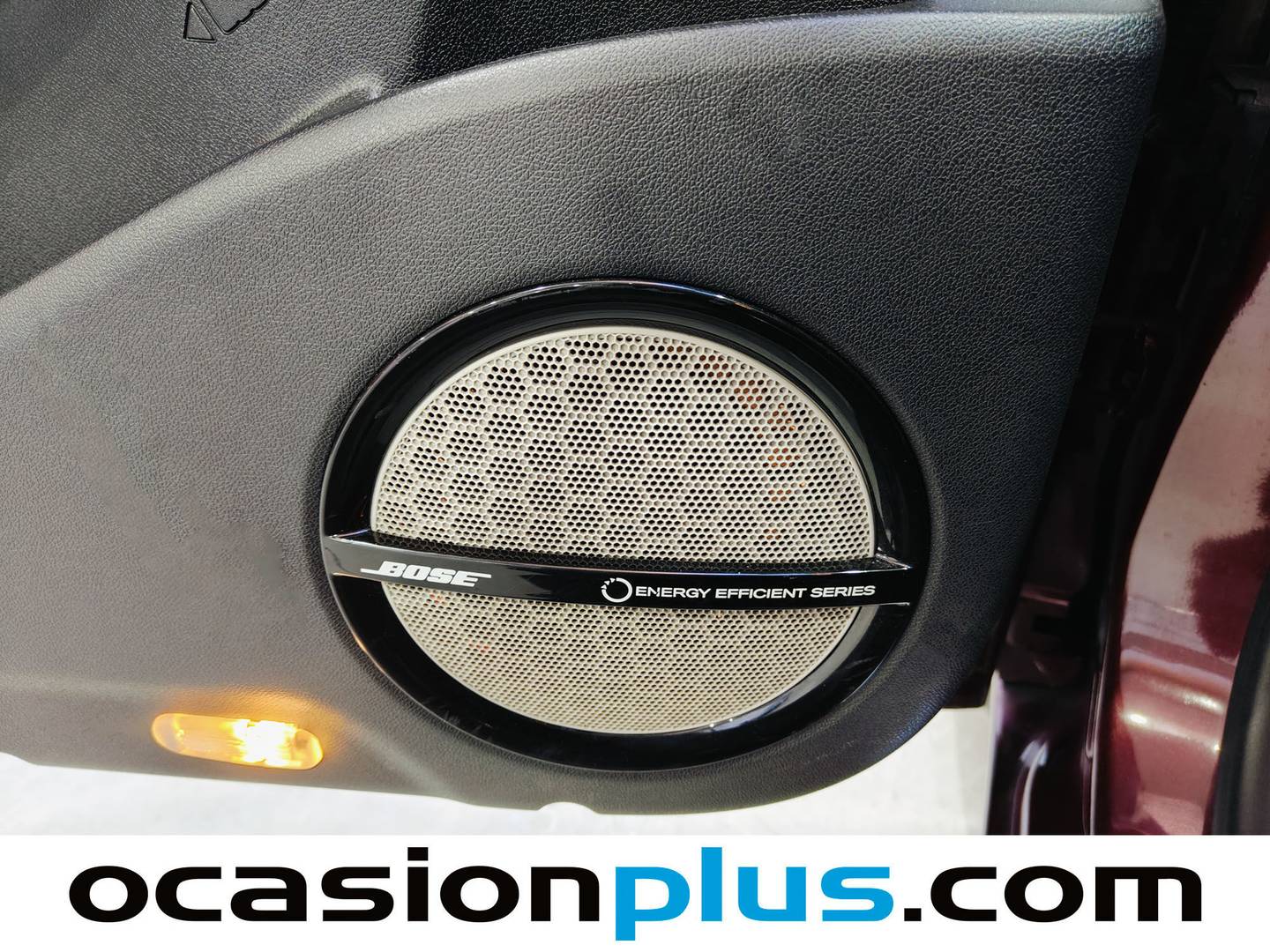 Extras del Renault Scénic Renault Scenic dCi 130 Bose Energy (130 CV)