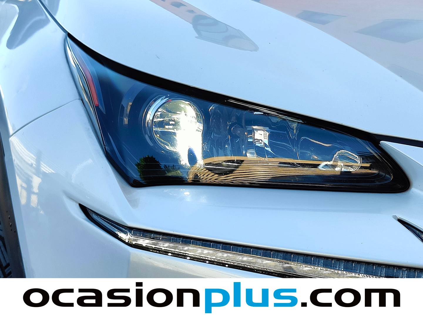Acabados Lexus NX Lexus NX NX 300h Sport Edition 2WD (197 CV)