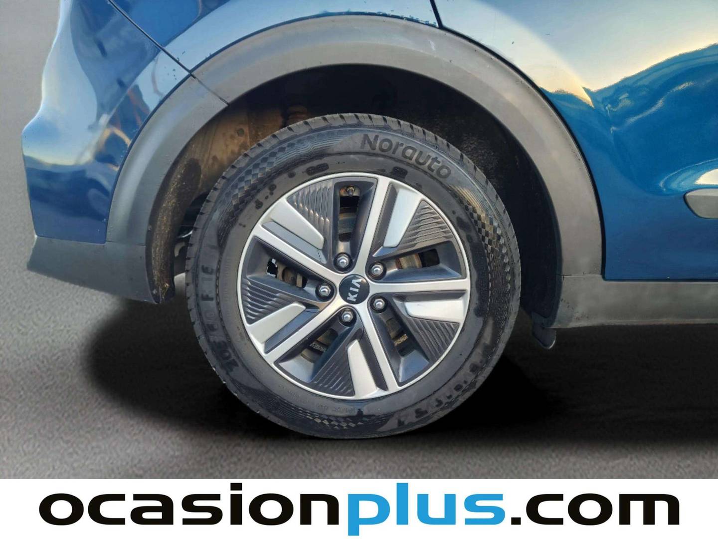 KIA Niro Kia Niro 1.6 GDi HEV Drive (141 CV) 141cv