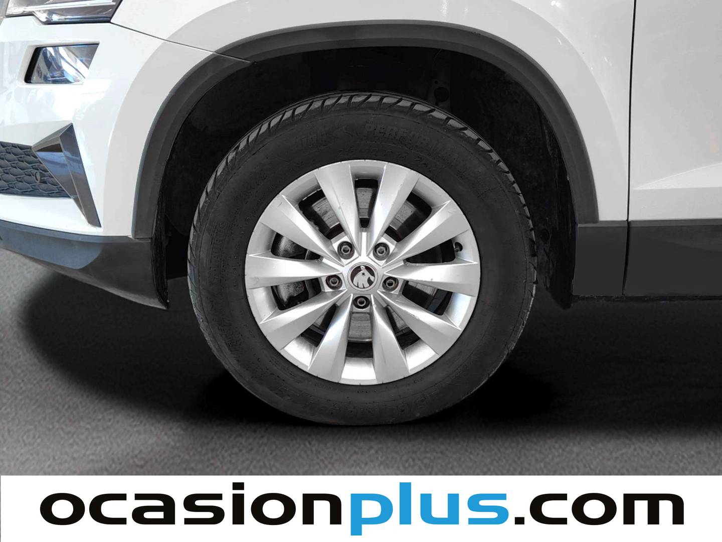 Skoda Karoq Skoda Karoq 2.0 TDI Ambition 4X4 DSG (150 CV) de ocasión