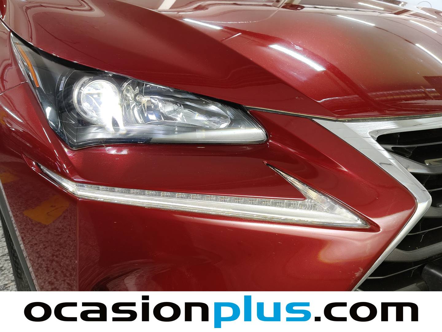 Lexus NX Lexus NX 300h Executive 4WD + Navibox (197 CV) al mejor precio