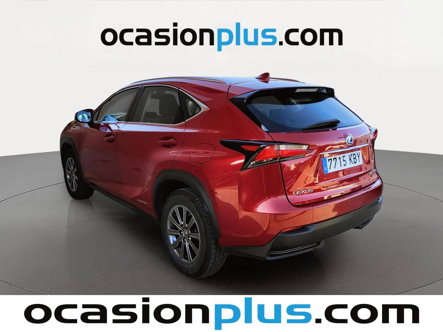Foto trasera Lexus NX Lexus NX 300h Business 2WD (197 CV) izquierda