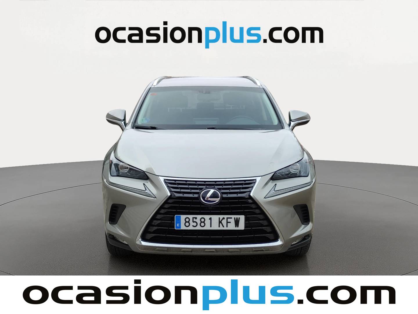 Foto Lexus NX Lexus NX 300h Business Navigation 2WD (197 CV)