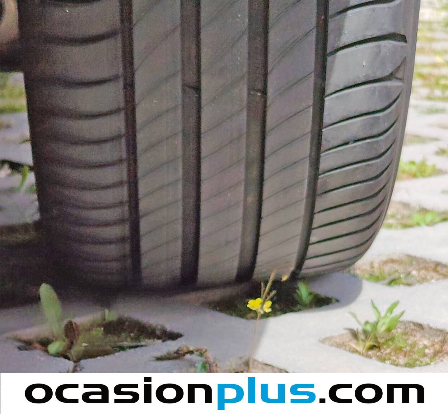 Audi A4 Audi A4 Avant Avant Advanced 35 TDI (163 CV) S tronic al mejor precio