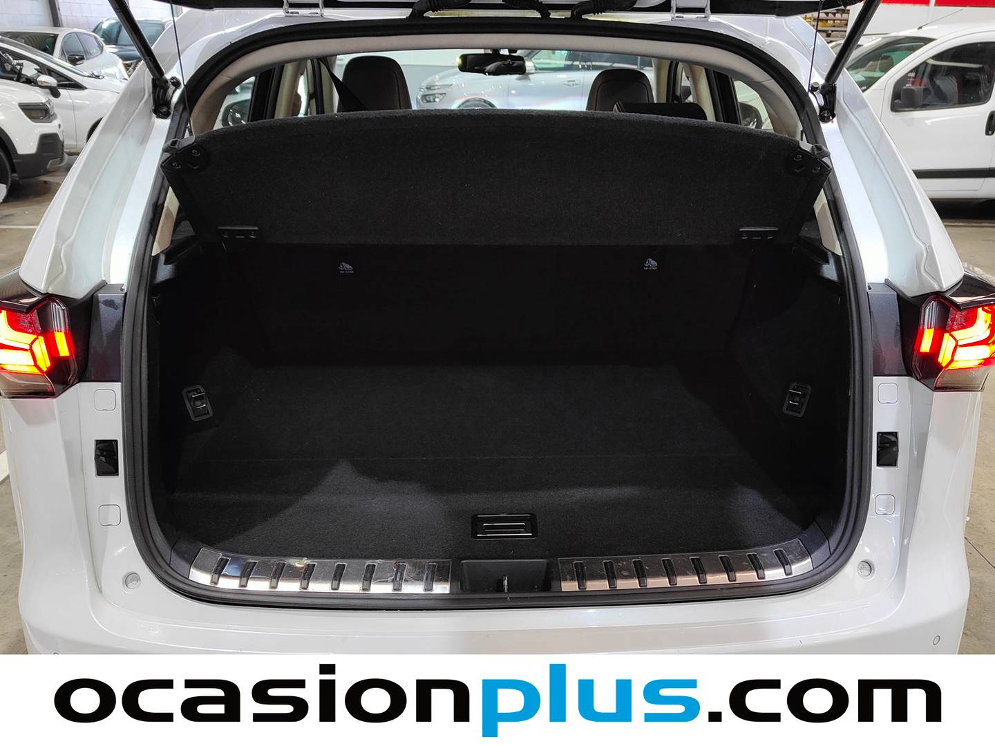 Lexus NX Lexus NX 300h Executive Tecno 4WD (197 CV) GLP km 0